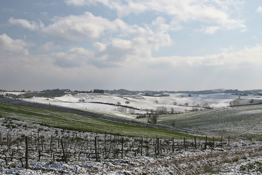 Chianti, Tuscany, Italy. Winter. Snowy Weather, Clouds Blue Sky. Vineyards, Trees