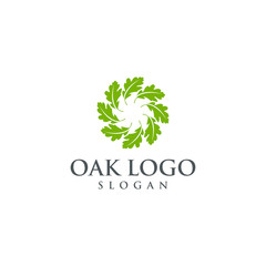 oak vector graphic abstract logo template download