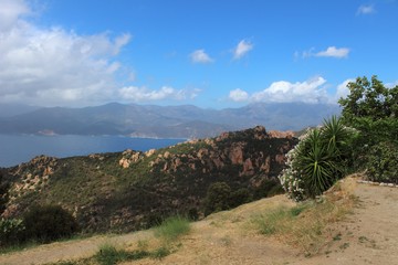 Vue panoramique de la baie de Porto en Corse en mer mediterranee france