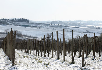 Chianti, Tuscany, Italy. Winter. Snowy Weather, Clouds Blue Sky. Vineyards, Trees