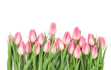 Fresh pink tulips Flowers bouquet isolated white background