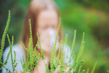 Young woman sneezes because of an allergy to ragweed