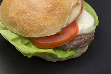 Hamburger, hot dog, street food