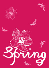 Spring Card on a Red Background