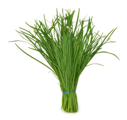 Bunch of leek vegetable