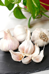 clove garlic on slate plate