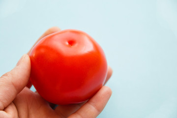 bright red tomato in a female hand on blue background close up