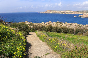 Gnejna Bucht, Wandern, Malta, Westküste, Frühling