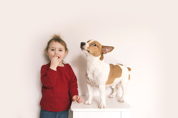 Child girl and jack russell dog have fun at home
