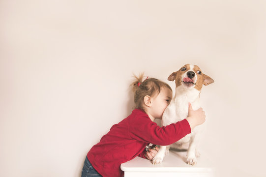 Child girl and jack russell dog have fun at home