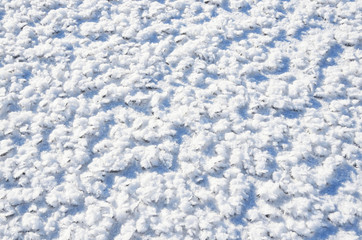 Fototapeta na wymiar Фон из мелких льдинок со снегом. Ладожское озеро