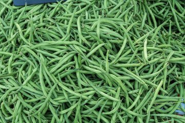 Grüne Bohnen