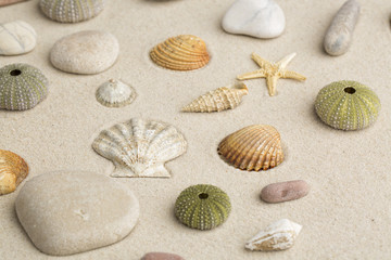 Sea shells and star fish