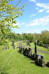 Fototapeta na wymiar The Necropolis, a Victorian graveyard in Glasgow, Scotland