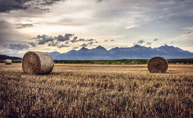 panorama of high tatras