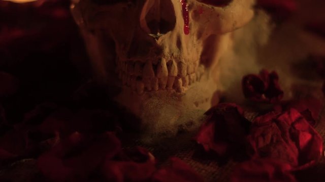 The skull is bleeding from the eye socket