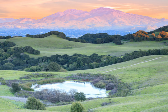 Fototapeta Mount Diablo Sunset via Briones Regional Park. Contra Costa County, California, USA.