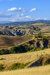 Obraz premium Summer landscape near Asciano