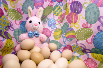 Easter bunny and raw eggs on a colored background