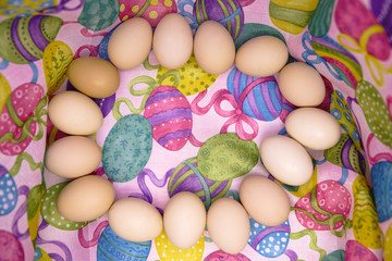 Raw eggs on colored background