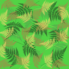 Scattered leaves of ferns on a green vivid background.