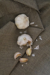 Broken garlic on the gray canvas