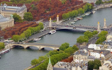 Sierkussen Pont Alexandre III aerial view of Pont Alexandre III bridge in Paris, France  © Ioan Panaite