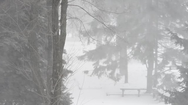 snow blizzard and a strong wind in the city park.