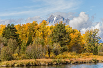 Teton Scenic Landscape in Autumn