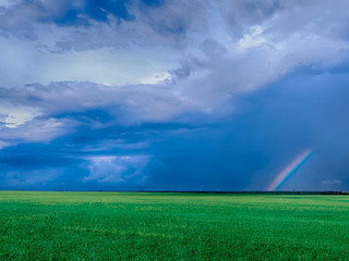 Fototapeta na wymiar field and rainbow