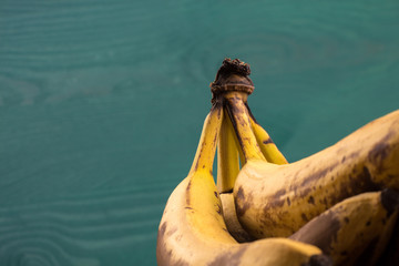 reife Bananenstaude