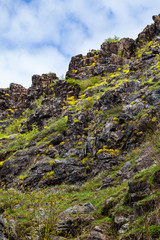 Rocks structure. Valley Divoka Sarka in Prague, spring time.