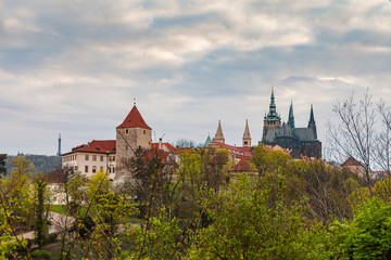 Fototapeta premium Prague Castle with the cathedral of St. Vitus on the hill with a beautiful frame of trees at the foreground. Spring time.