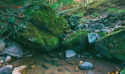 a forest source of water between large stones covered with green moss