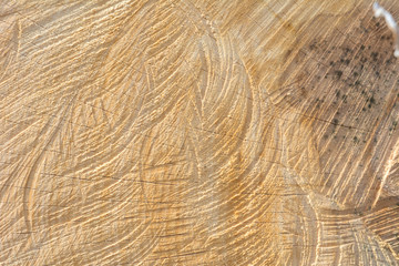 Holz Hintergrund