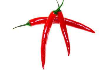 Red hot chili pepper isolated on white background