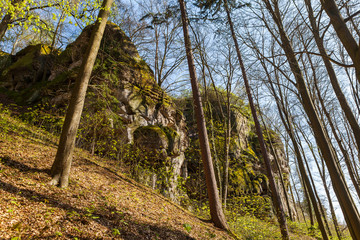 Fototapeta premium Sandstone rocks in the forest. Sunny summer day. Hruba skala or Bohemian Paradise park.