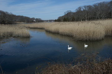 Frank Melville Park Stony Brook New York 