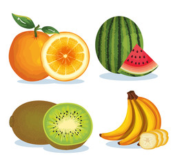 set tropical and exotic fruits vector illustration design