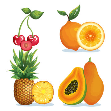 set tropical and exotic fruits vector illustration design