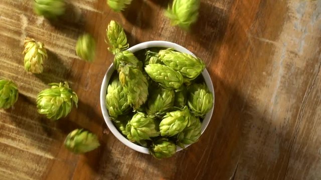 hops falling into white bowl - top view in slow motion.