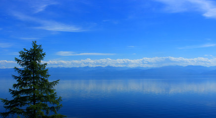 A quiet summer landscape on Lake Baikal in blue tones. The sky and calm  water of the lake merge on the horizon. Blurred coniferous tree in the foreground.