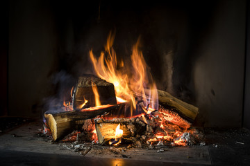 Fire of wood on a black background