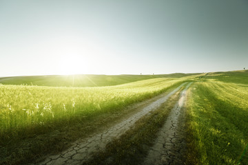 Obraz premium Tuscany sunny road, Italy