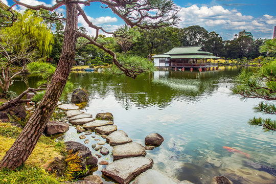 Artificial pond in   KIYOSUMI  TEIEN  Park ,TOKYO