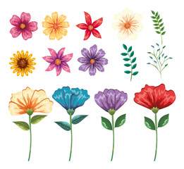 set floral decoration vintage style vector illustration design