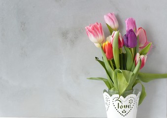 
spring flowers tulips