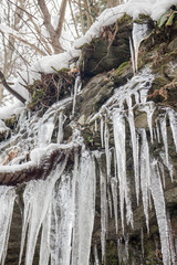 icicles