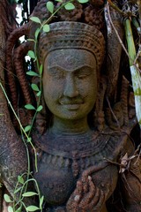 Obraz premium the sculpture of a female Buddhist deity Tara is buried in the tree