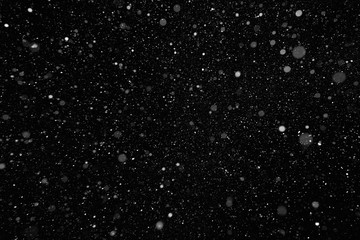 Real falling snowflakes on a black background. Can be used as a texture layer in different types of projects with snow. Photo taken in the night time, using flash light. - obrazy, fototapety, plakaty